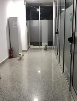 Birgün Gazetesi Kediler Üzerinden Provokasyona Yöneldi!