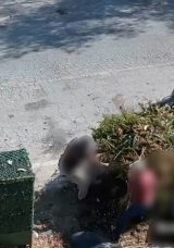 Bodrum&rsquo;un Kirleticileri Kameralarda Yer Aldı: 19 Milyon TL&rsquo;yi Aşan Ceza