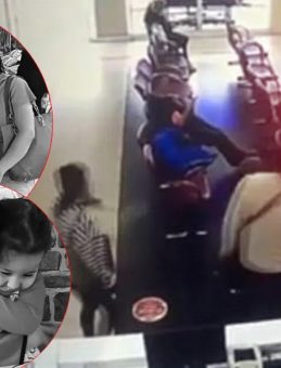 Böcek Ailesini Ölümle Yüz Yüze Getiren 'Özel Formül' İlaçlama Skandalı!