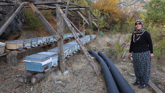 Bölgede Sıcaklık 30 Derecenin Üzerinde! Kışlama İçin Gelmiyorlar | 'Bu Yıl İlk Kez Gördüm, Gerçekleşmezse Kayıplar Artacak'