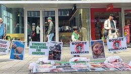 Boykotla Helal &Uuml;r&uuml;ne Talep İki Katlandı