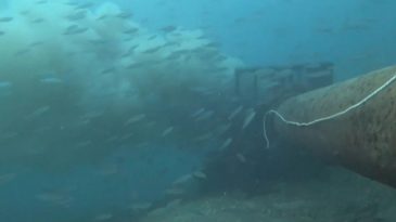 &Ccedil;anakkale Boğazı'nda Denize D&ouml;k&uuml;len Kirli Su G&ouml;r&uuml;nt&uuml;lendi
