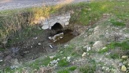 Çanakkale'de korkunç olay: Yeni doğan bebek ölüme terk edildi! Göbek bağı taşla ezilmiş halde…