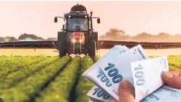 &Ccedil;ift&ccedil;iye 331.6 milyon TL destek &ouml;demesi