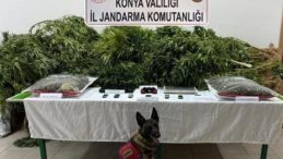 &Ccedil;iftlikte Uyuşturucu Davası Sonu&ccedil;landı: &Ccedil;iftlik Sahibi Avukat Beraat Etti, İki &Ccedil;alışana Hapis Cezası Verildi