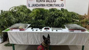 &Ccedil;iftlikte Uyuşturucu Davası Sonu&ccedil;landı: &Ccedil;iftlik Sahibi Avukat Beraat Etti, İki &Ccedil;alışana Hapis Cezası Verildi