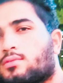 Cesedi Yok Ederken Ormanı da mı Yaktılar?