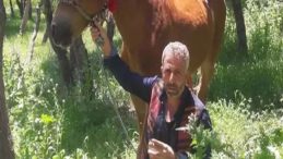 Cezaevinden İzinli &Ccedil;ıkan Babasını &Ouml;ld&uuml;ren Oğul ile Aneye Ceza! 'Mecbur Kaldım' İfadesi!