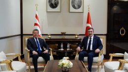 Cumhurbaşkanı Yardımcısı Yılmaz, KKTC Başbakanı &Uuml;nal &Uuml;stel ile bir araya geldi