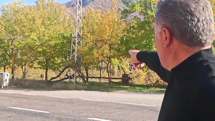 Dağlardan İnen Hayvanlar Evlerin Arasında Geziyor