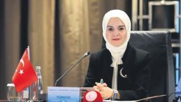 Demokratik K&uuml;lt&uuml;re &Ouml;nemli Katkılar