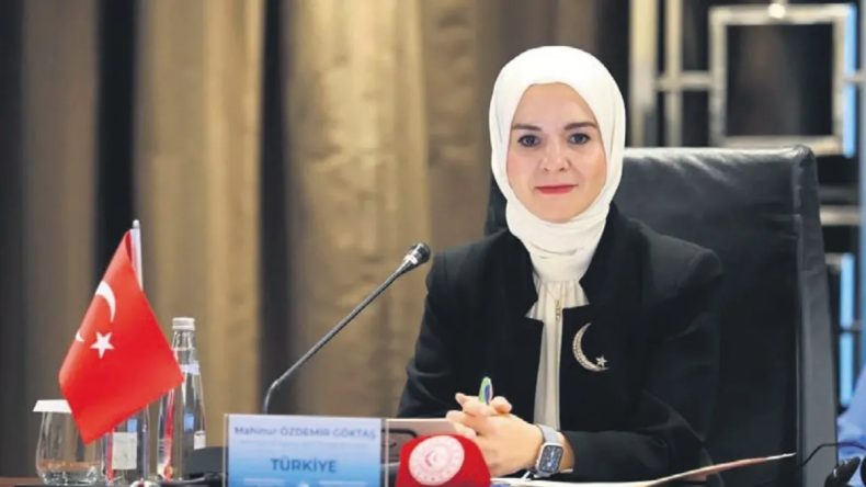 Demokratik K&uuml;lt&uuml;re &Ouml;nemli Katkılar