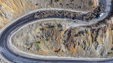 D&ouml;n&uuml;ş Yolu: 15 G&uuml;n S&uuml;recek Bir Yolculuk Başladı