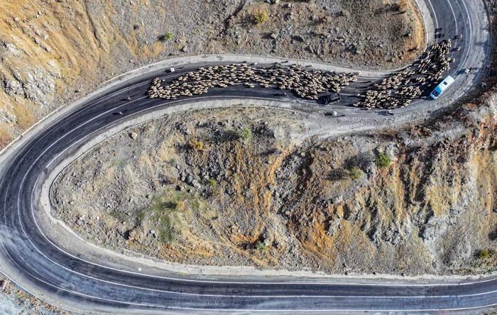 Dönüş Yolu: 15 Gün Sürecek Bir Yolculuk Başladı