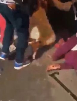 Düğünde Havai Fişek Alarmı: Davetliler Arasında Patlama!