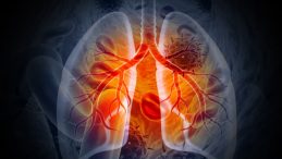 D&uuml;nyanın En Tehlikeli Hastalığı: Yıllık Can Kaybı 1 Milyon!