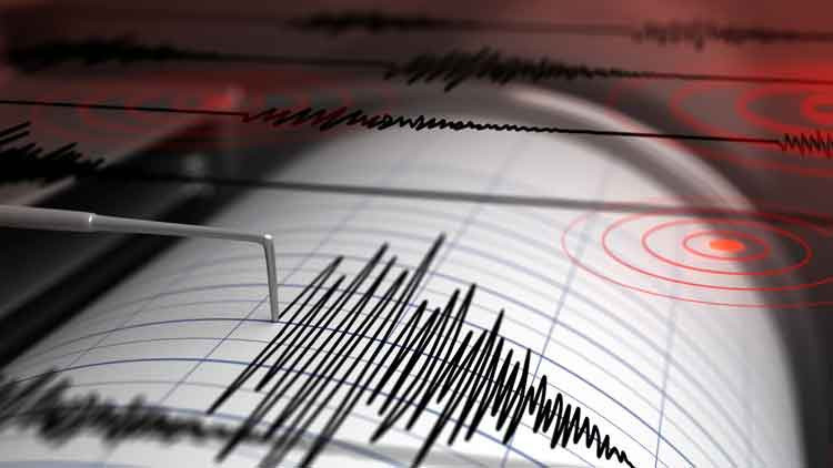Ege Denizi'nde 4.6 B&uuml;y&uuml;kl&uuml;ğ&uuml;nde Deprem Ger&ccedil;ekleşti