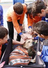 Engelli K&ouml;pek "Kıvrık": &Ccedil;ocukların G&ouml;nl&uuml;nde Taht Kuruyor!