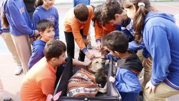 Engelli K&ouml;pek "Kıvrık": &Ccedil;ocukların G&ouml;nl&uuml;nde Taht Kuruyor!