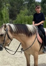 Esenyurt'ta feci durum: 13 yaşındaki Eren evinde yaşamını yitirdi! En son neler yedi&hellip;