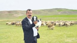 Ette Balıkesir Kuzusu Oyununu Aydınlatıyoruz