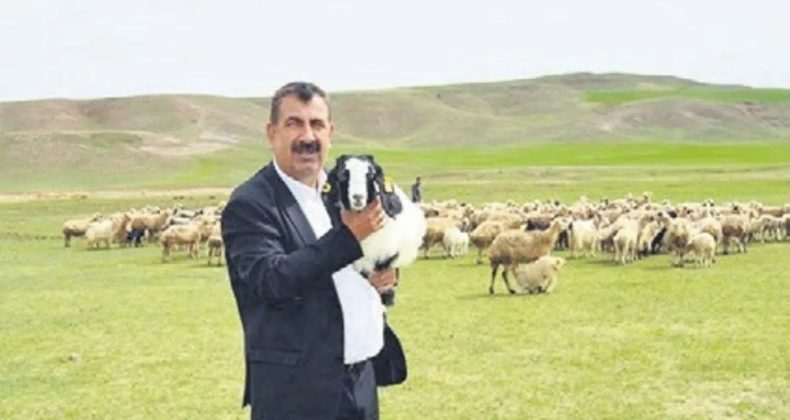 Ette Balıkesir Kuzusu Oyununu Aydınlatıyoruz