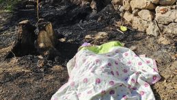 Feci olay! Bahçede otları yakarken alevlerin ortasında kalarak yaşamını yitirdi