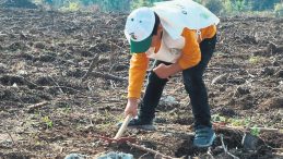 Gazzeli &Ccedil;ocuklar İ&ccedil;in 10 Bin Fidan Dikti!