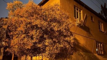 Gebze&rsquo;de İki Katlı Bina Tahliye Edildi