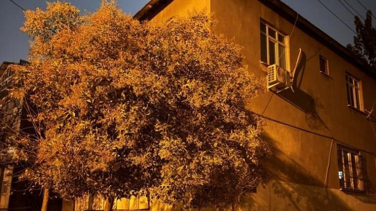 Gebze’de İki Katlı Bina Tahliye Edildi