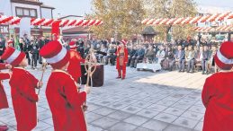 G&uuml;&ccedil;l&uuml; Aile, Gelişmiş &Uuml;lke