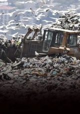 Harmandalı'daki Tehlike Raporlarda Ortaya &Ccedil;ıktı