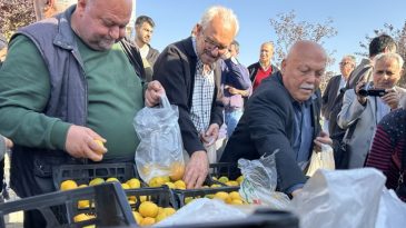 Hatay'da &Uuml;reticiler, Alıcı Bulamadıkları Tonlarca Mandalinayı &Uuml;cretsiz Dağıttı
