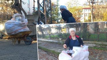 Her Sonbahar Tek Tek Topluyor: 60 Santim Derine G&ouml;m&uuml;yor! 'Benim Kafa B&ouml;yle Esiyor, B&ouml;yle Yapıyorum'