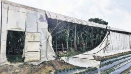 Hortum Seraları Vurdu