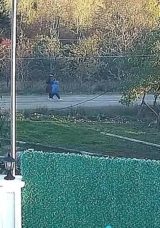 Huriye Helvacı ve oğlu Osman Helvacı bulundu mu? Kastamonu&rsquo;da kaybolan anne-oğul olayında son gelişmeler