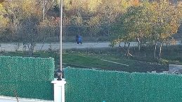 Huriye Helvacı ve oğlu Osman Helvacı bulundu mu? Kastamonu’da kaybolan anne-oğul olayında son gelişmeler