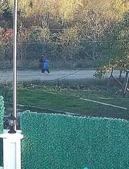 Huriye Helvacı ve oğlu Osman Helvacı bulundu mu? Kastamonu’da kaybolan anne-oğul olayında son gelişmeler