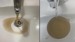 İBB ve İSKİ Y&ouml;neticileri &Ccedil;amurlu Sudan İ&ccedil;er Mi?