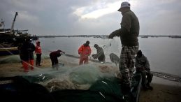 İsrail Donanması Gazze Açıklarında 5 Filistinli Balıkçıyı Gözaltına Aldı