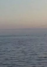 İstanbul'un &Uuml;zerine Sis &Ccedil;&ouml;kt&uuml;! &Ccedil;arşamba G&uuml;n&uuml; Yağmur Bekleniyor