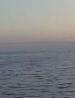 İstanbul'un Üzerine Sis Çöktü! Çarşamba Günü Yağmur Bekleniyor