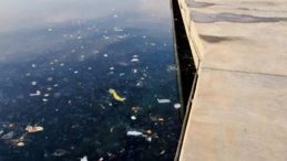 İstinye Koyu’nda Üzücü Manzara