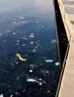 İstinye Koyu’nda Üzücü Manzara