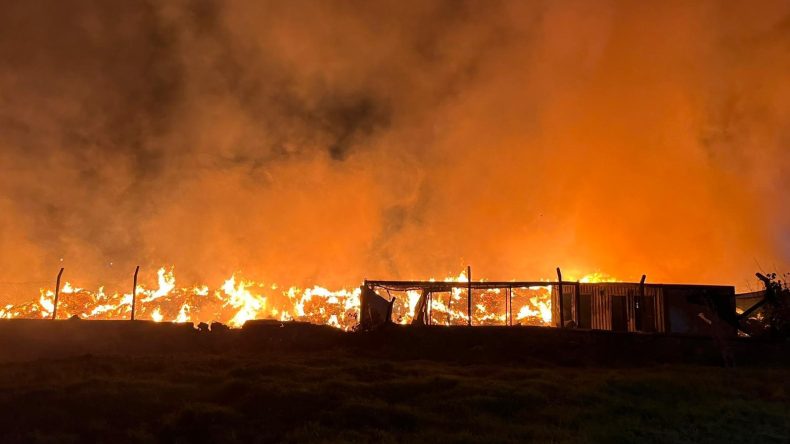 İzmir'de Belediye Çöp Depolama Alanında Yangın Çıktı