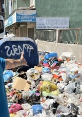 İzmir'de &Ccedil;&ouml;p Sorunu Sinek İstilasına D&ouml;n&uuml;şerek Sağlığı Tehdit Ediyor!