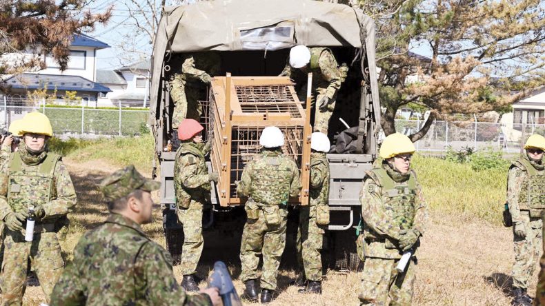 Japon Ordusu Ayılarla Mücadele İçin Hazırlanıyor