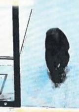 Japonya Ayı Saldırılarına Karşı Avcıları G&ouml;revlendirecek