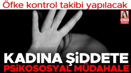 Kadına Şiddete Psikososyal M&uuml;dahale