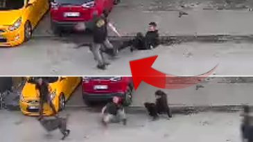 Kahraman Baba, K&ouml;pek Saldırısından &Ccedil;ocuğunu B&ouml;yle Kurtardı